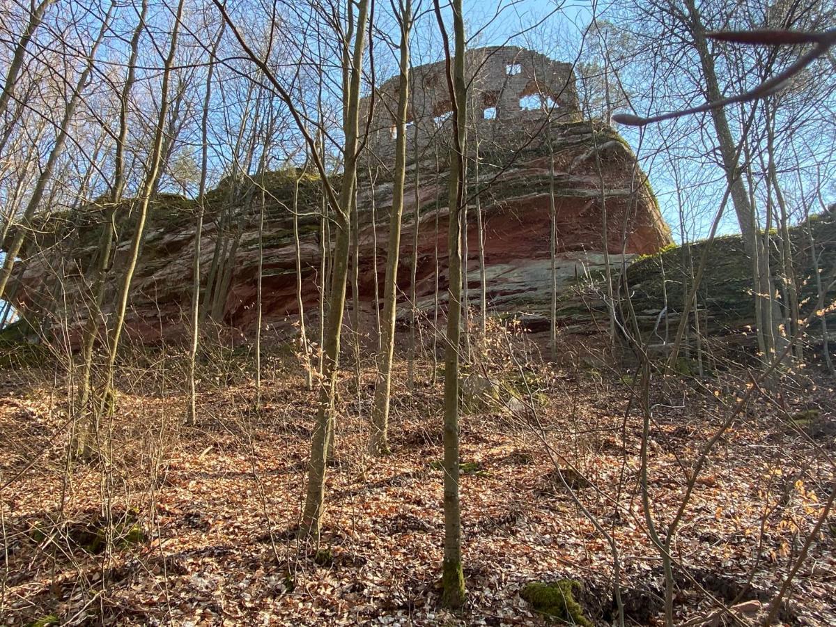 Gite De La Vallee Dambach Exterior photo